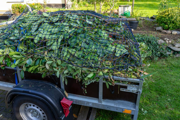 Best Dumpster Rental Services  in Rochelle, IL